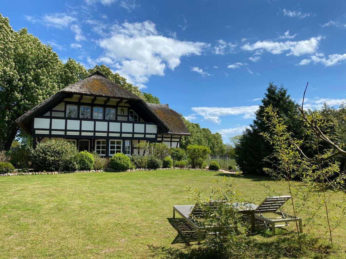 Reetdachfachwerkvilla Am Wiesengrund Bergen Auf Rugen Eksteriør bilde